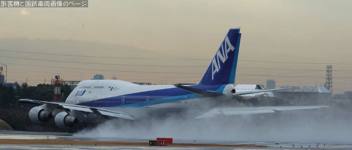 ANA JA8959 の写真です