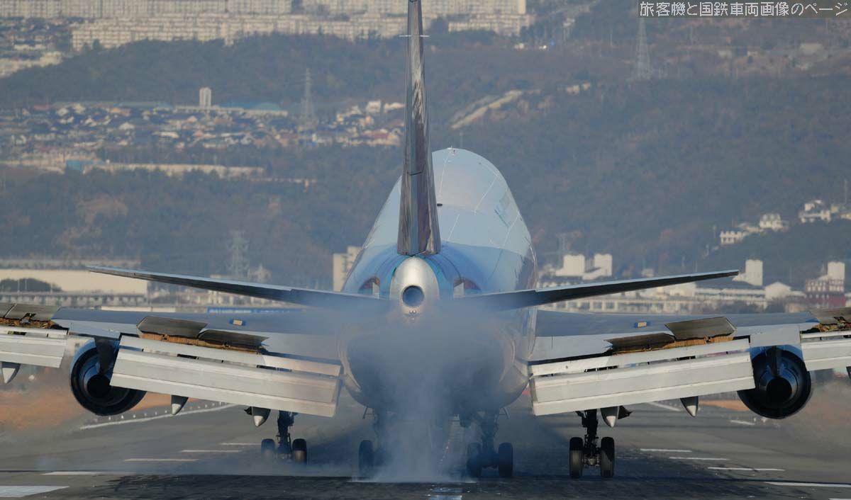 ANA JA8959 の写真です