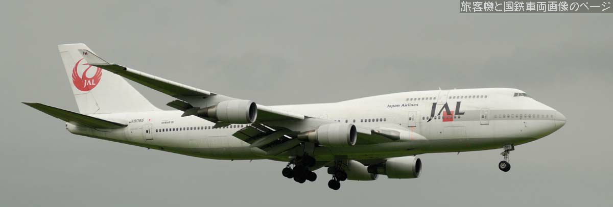 日本航空 JA8085 の写真です
