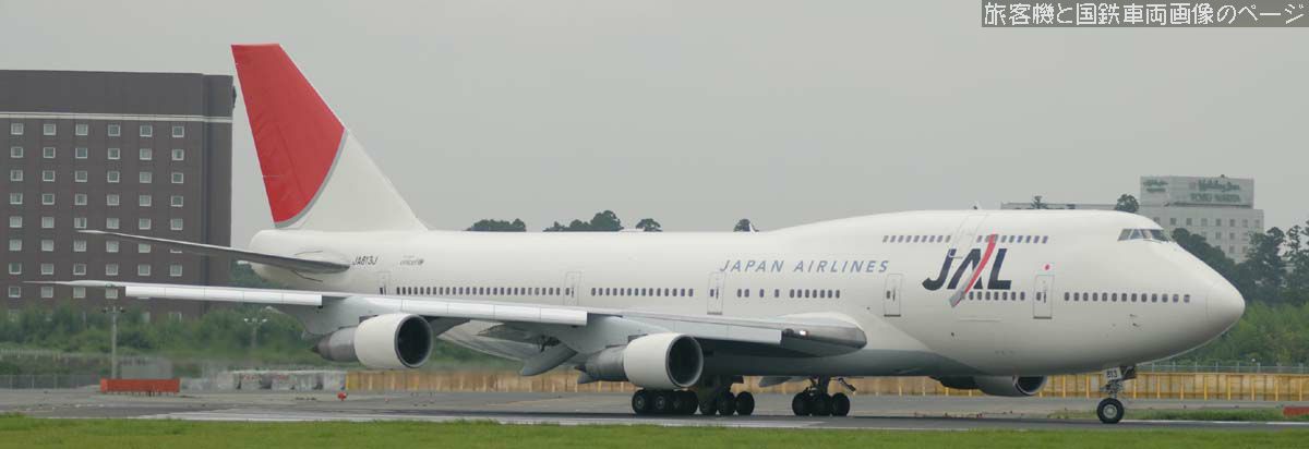 日本航空 JA813J の写真です