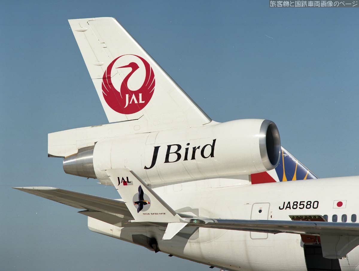 日本航空 JA8580 の写真です