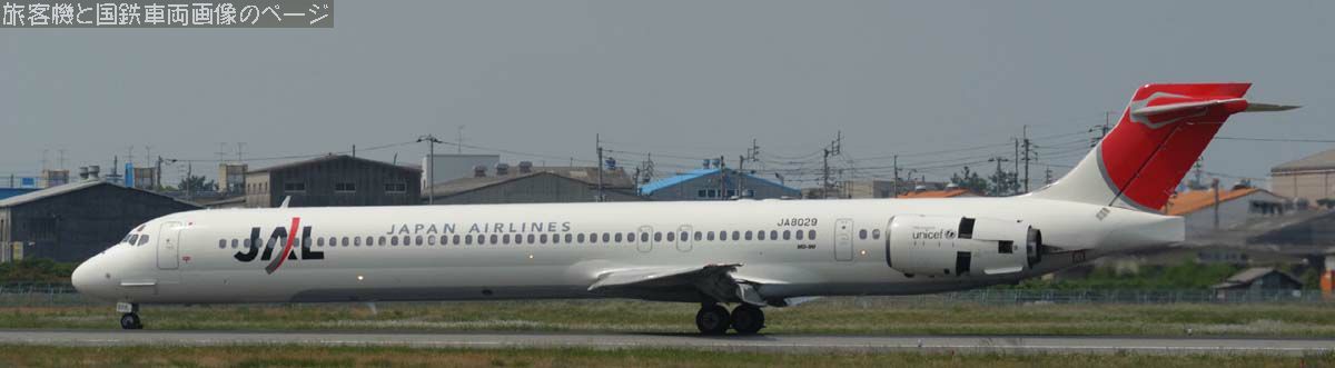 日本航空 JA8029 の写真です